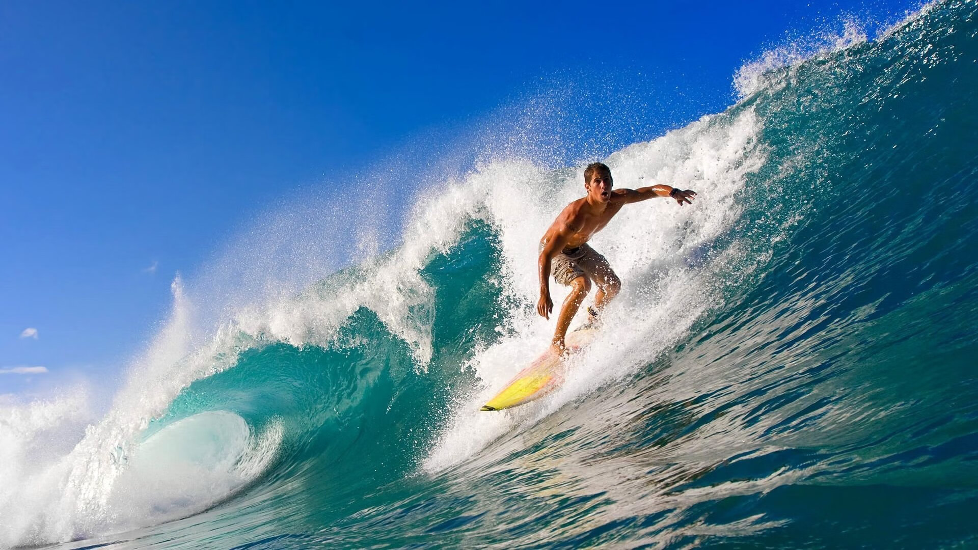 德甲高能对抗:攻守转换精彩纷呈,德甲最强